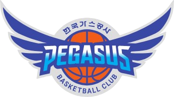 大邱石油公社飞马直播