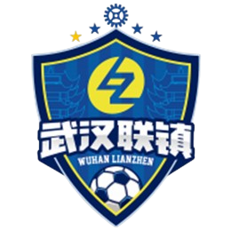 武汉联镇直播